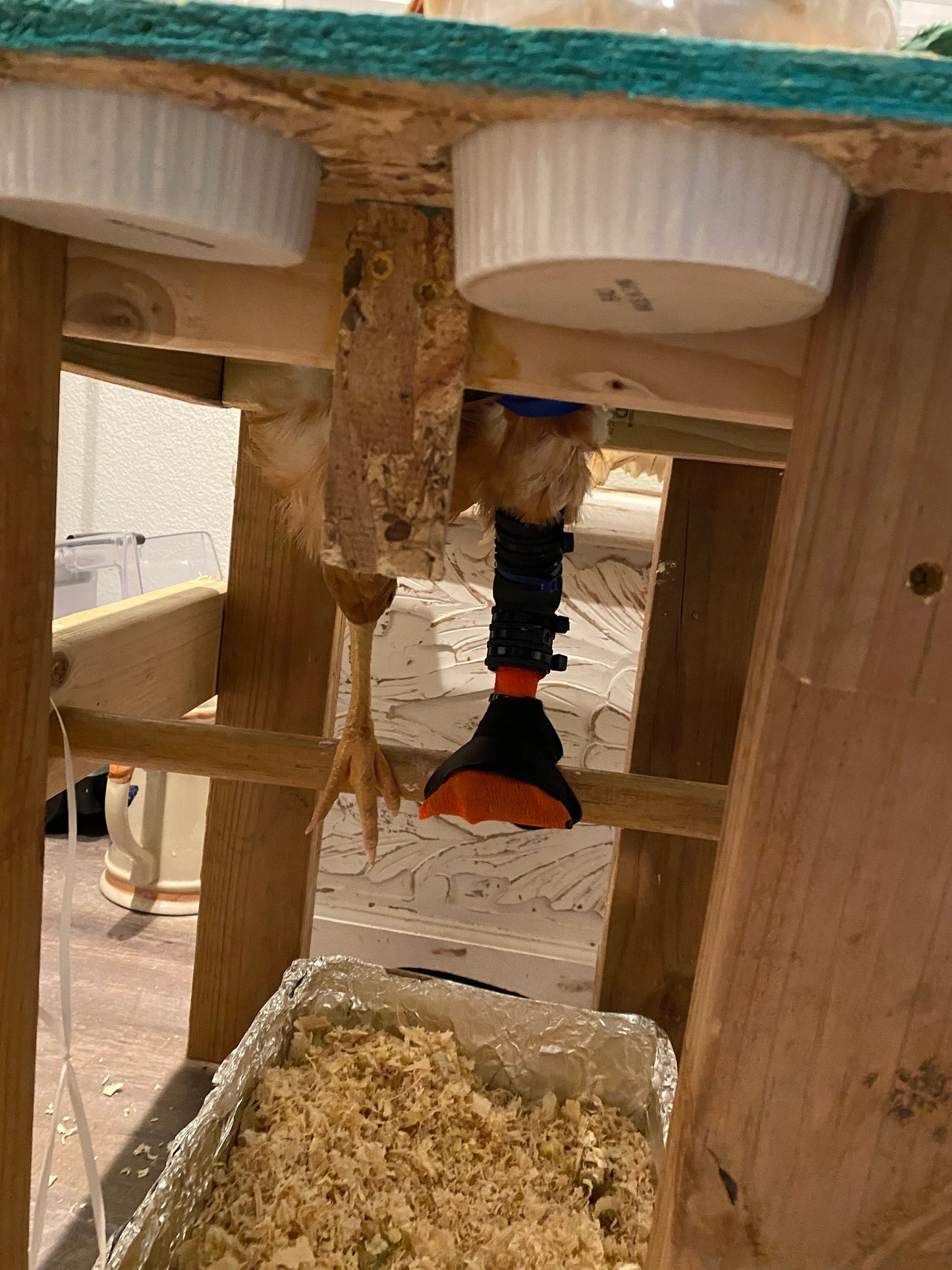 Full Leg and Foot Splint for Chicken or Duck