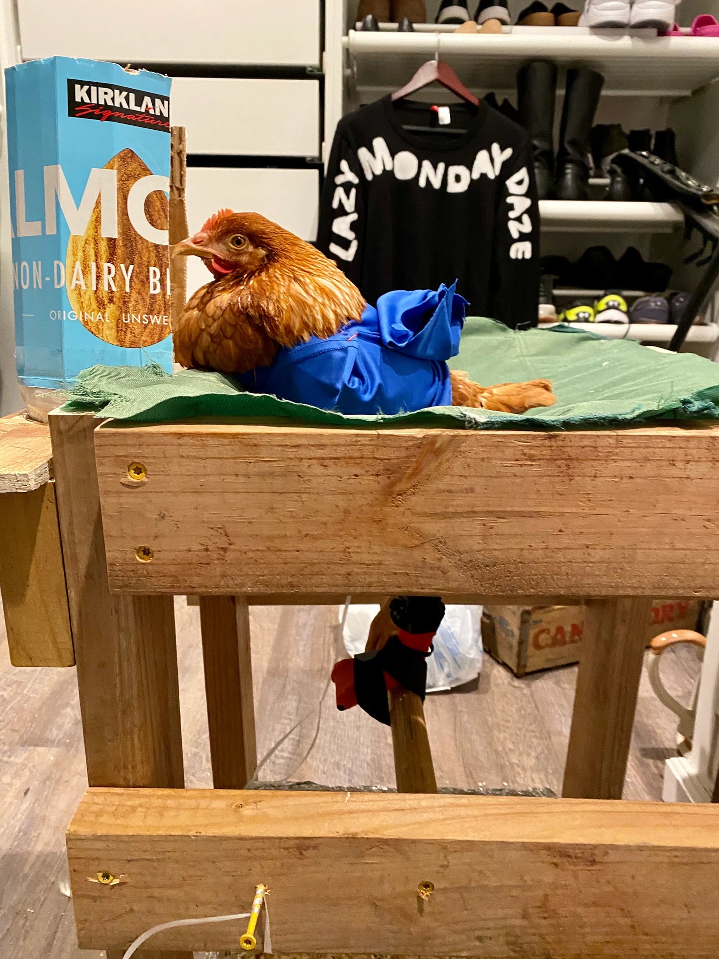 Full Leg and Foot Splint for Chicken or Duck