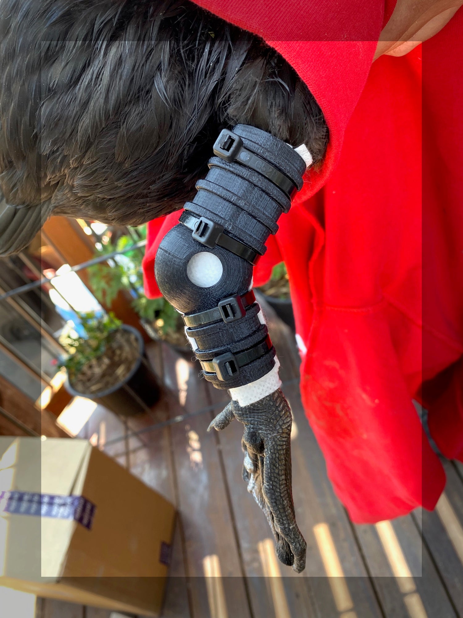 About Us – fowl designs